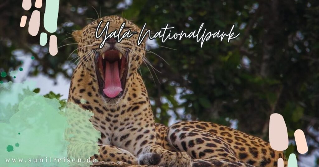 Yala Nationalpark Sri Lanka